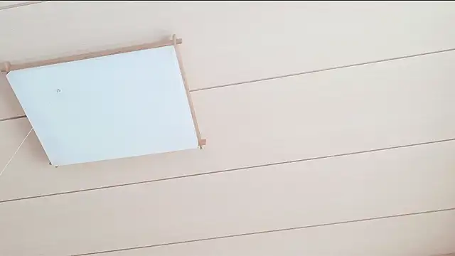 xxArisaxx online show from March 1, 5:42 am