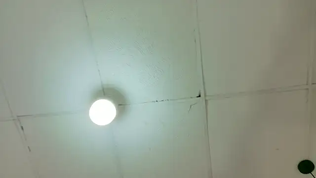 kendalltaylorr online show from March 6, 4:42 am