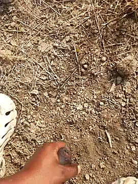 Ajith mvi online show from February 18, 3:35 am