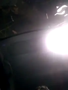 Snapshot of jhon01000 chatting on November 8, 7:19 am jhon01000 online show from November 8, 7:19 am