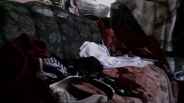 Phelyxx elgato online show from December 9, 12:12 am