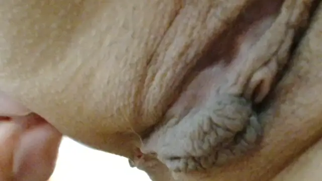 sonyx online show from March 24, 5:40 pm