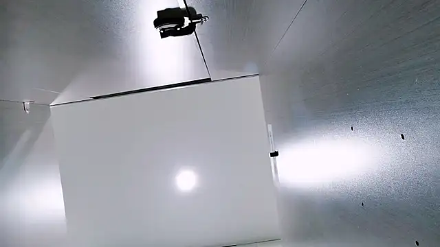 Snapshot of Fannywell chatting on December 17, 7:03 am Fannywell online show from December 17, 7:03 am