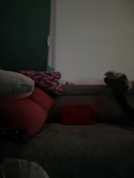 Snapshot of BigBoy420x chatting on February 28, 5:04 am BigBoy420x online show from February 28, 5:04 am