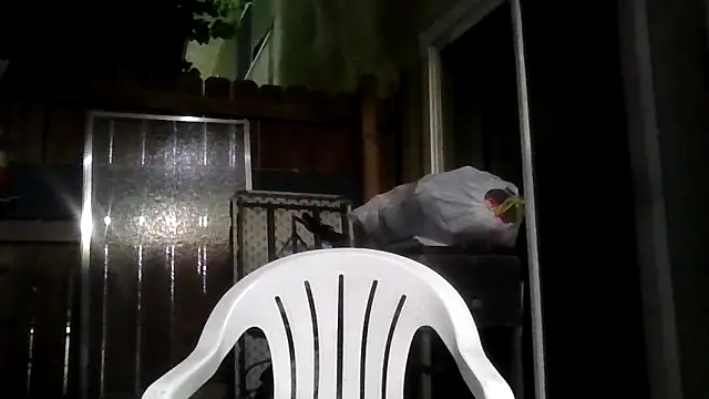 Snapshot of MrDickUdown24_7 chatting on February 9, 4:05 am MrDickUdown24 7 online show from February 9, 4:05 am