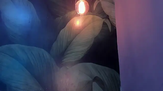 sweett dirty online show from January 27, 6:20 pm