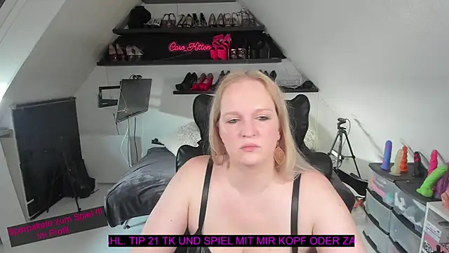 caro kitten online show from January 17, 11:04 am