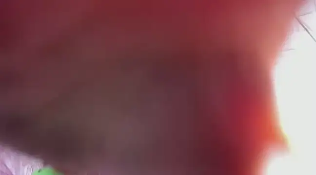 Kimmymadison- online show from March 9, 6:39 am