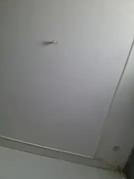 Maryan27 online show from February 2, 11:53 am