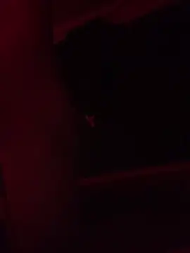 trash4cash online show from February 9, 11:25 pm