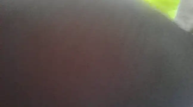 Chitrani- online show from January 16, 9:37 am