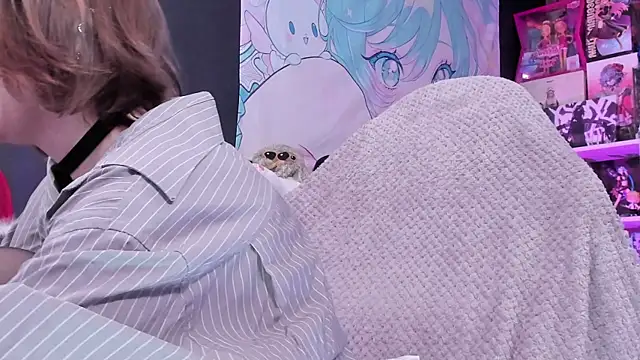 Supaidagaru online show from April 14, 4:57 pm