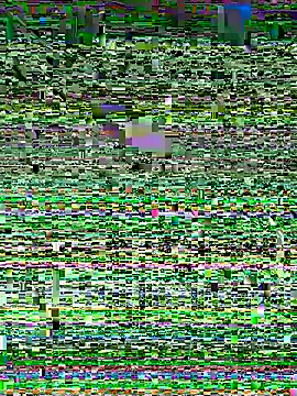 Snehameowwxh online show from November 21, 4:16 pm