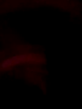 ySqmbVanbe online show from December 14, 9:36 am