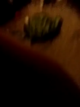 ySqmbVanbe online show from February 16, 1:35 am