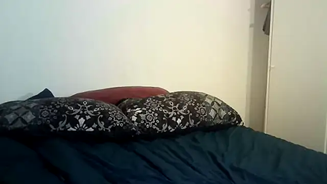 Snapshot of JunkieShitPig chatting on March 22, 8:15 pm JunkieShitPig online show from March 22, 8:15 pm