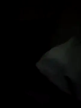 tessafontana37 online show from January 3, 2:32 am