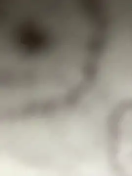 Snapshot of Leyna_liu chatting on January 11, 3:13 am Leyna liu online show from January 11, 3:13 am