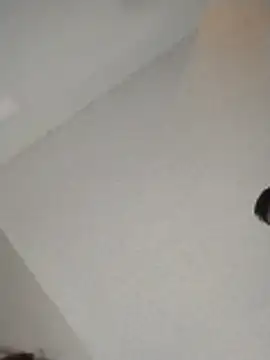 Snapshot of xWhoreAbleX_Pika chatting on November 30, 3:16 pm xWhoreAbleX Pika online show from November 30, 3:16 pm