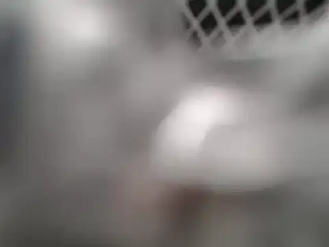 lovense test04 online show from March 7, 2:25 am