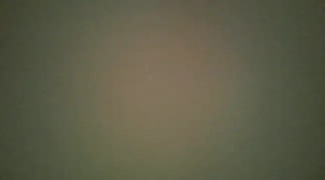 lovense test04 online show from March 13, 8:37 am