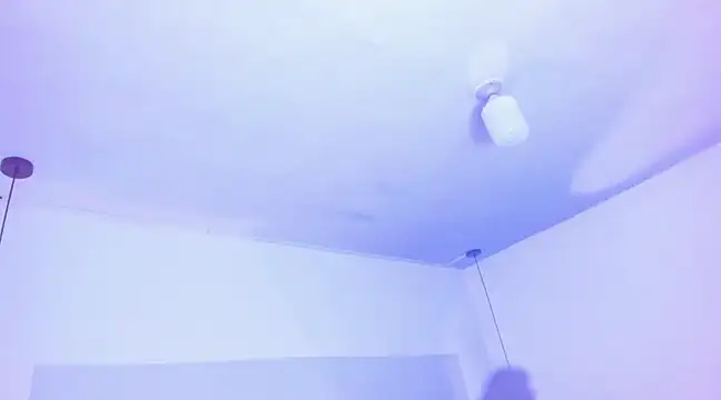 Emily Gil1 online show from March 19, 8:00 pm