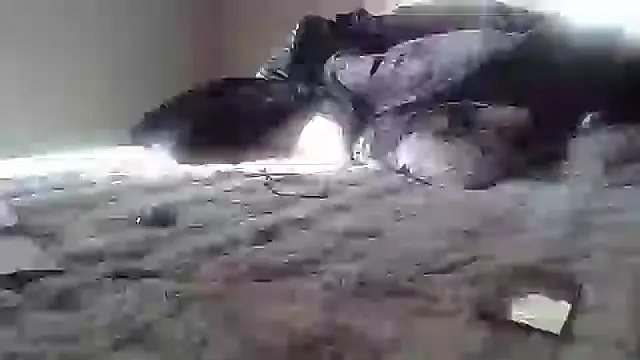 Snapshot of cassieleeknight11 chatting on January 17, 2:39 pm cassieleeknight11 online show from January 17, 2:39 pm