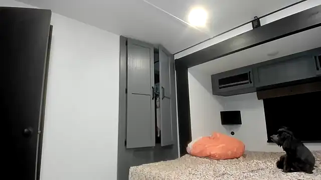 Persiasparadise online show from February 16, 1:46 am