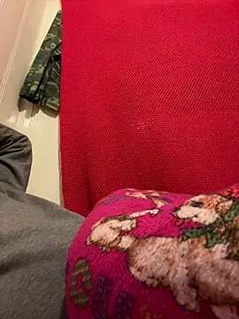 A6229 online show from February 26, 11:09 am