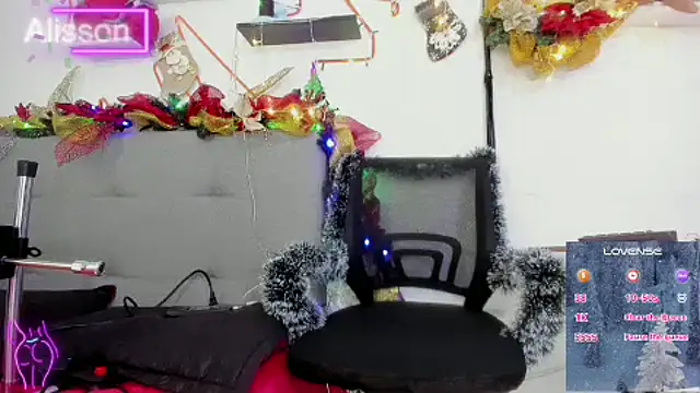 Snapshot of alissonandamy chatting on December 24, 11:38 am alissonandamy online show from December 24, 11:38 am