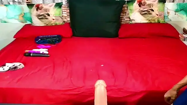 Indian Blaze00 online show from January 31, 7:11 pm