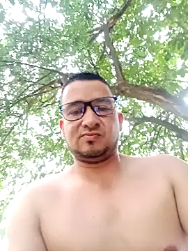 Fabi 1986 online show from July 11, 10:33 pm