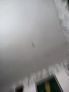 biancchi online show from February 20, 11:11 am