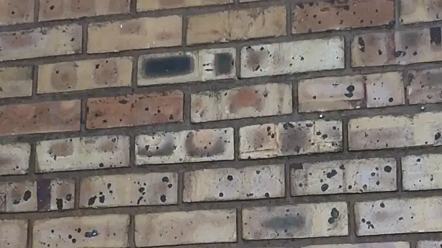 Astoria Moon online show from February 24, 7:09 pm