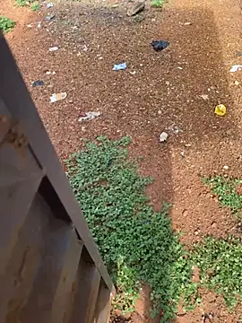 Black-mamba-madingo online show from April 4, 8:23 am