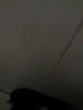 Black-mamba-madingo online show from April 16, 6:19 pm