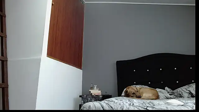 Snapshot of Emilia_1995 chatting on January 30, 10:41 pm Emilia 1995 online show from January 30, 10:41 pm