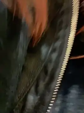 RinaCat online show from December 24, 8:33 am