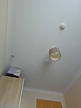 meateater1 online show from November 1, 10:39 am