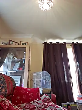 meateater1 online show from November 20, 10:48 am