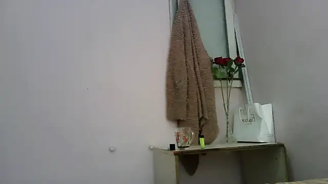 Snapshot of VanillaSeXy chatting on February 15, 5:04 am VanillaSeXy online show from February 15, 5:04 am