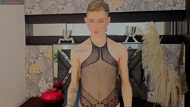 dominic thailor online show from February 13, 10:06 pm