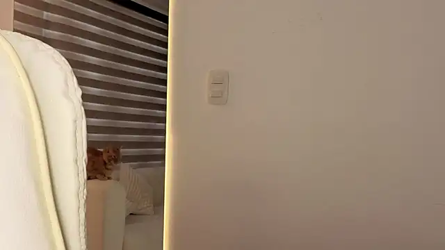 AtheneaRossi online show from October 28, 12:41 pm