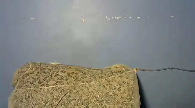 shishbabe online show from March 4, 4:49 am