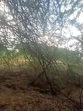 lovesuna online show from September 30, 1:32 am