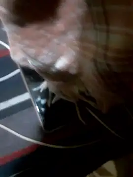 Rojatelugu89 online show from January 8, 1:35 pm