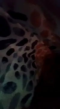 Snapshot of Xoc8_ chatting on December 8, 8:47 pm Xoc8  online show from December 8, 8:47 pm