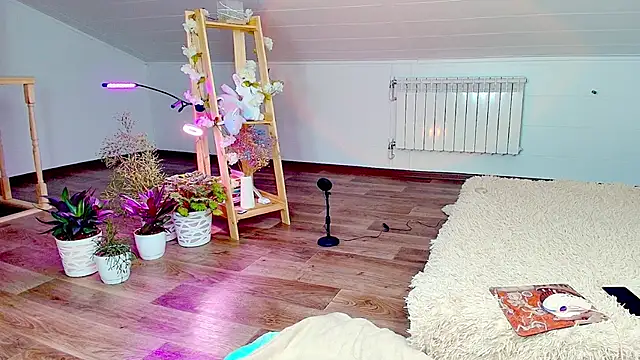 Snapshot of Meowroslava chatting on November 7, 9:31 am Meowroslava online show from November 7, 9:31 am