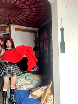  Artemisa X online show from December 13, 7:53 pm