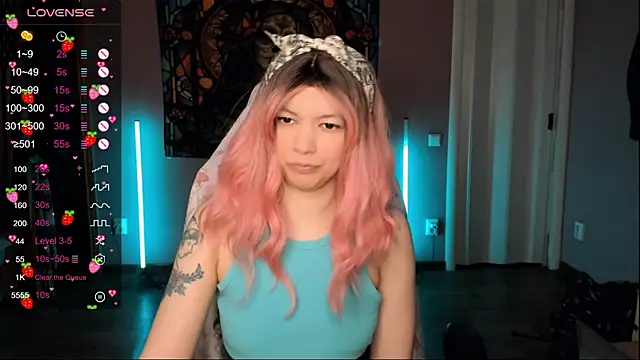 Project hisoka online show from February 4, 1:55 am